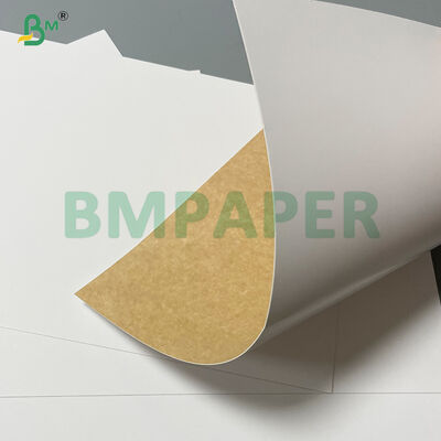 360g Food Grade Clay Coated Recycled Paperboard CCKB untuk Cold Storage Beverage Carrier