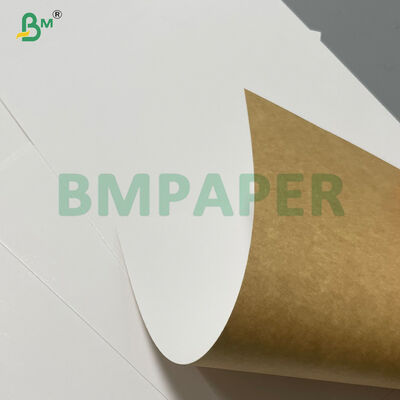 Ketahanan Lipat yang Baik CCKB Clay Coated Kraft Paper Board