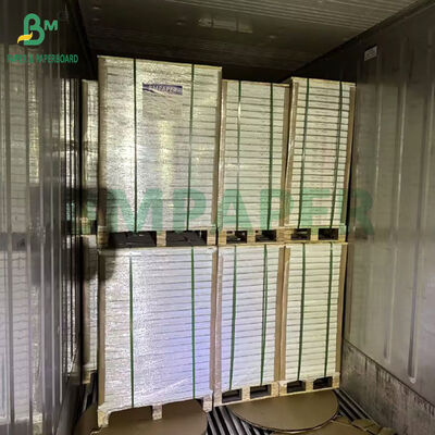 Kertas SBS Berlapis Satu Sisi 900 X 640MM 250Gr 300Gr Untuk Kemasan Makanan