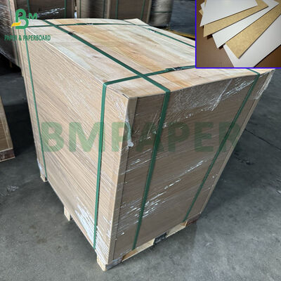 600mm 650mm halus 325 gram 360 gram Plat Kraft Lapisan Untuk Kontainer Makanan
