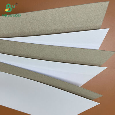 18PT 24PT PE Coated CCNB Paper Board untuk kotak kemasan makanan beku