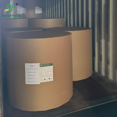 18PT 24PT PE Coated CCNB Paper Board untuk kotak kemasan makanan beku