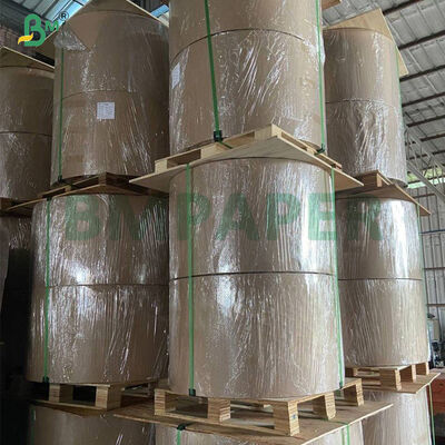 56g Anti Water Wax Coated Paper for Mango Fruit Cover Growing Bag 