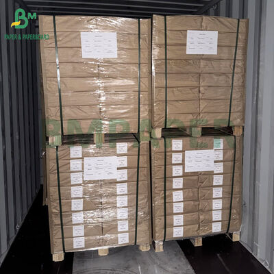 350gsm 400gsm Coating 1 sisi Thermoforming White Board Untuk Kemasan Blister 70 x 100cm