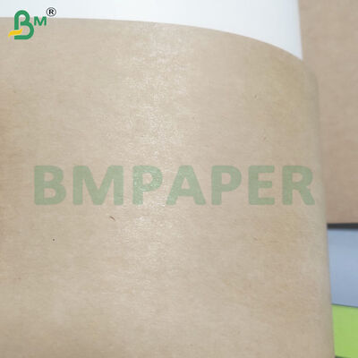 Gulungan Kertas Mangkuk/Piring Kraft Dilapisi PE 350gsm+10gsm Food Grade