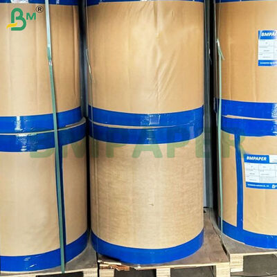 Gulungan Kertas Mangkuk/Piring Kraft Dilapisi PE 350gsm+10gsm Food Grade