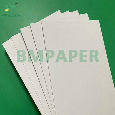 Lembaran Karton Putih yang Dapat Disegel Panas untuk Kemasan Blister, Adhesi Kuat dengan PVC/PET, Tahan Lembab, Kertas Kaku 250g 300g untuk Tampilan Ritel