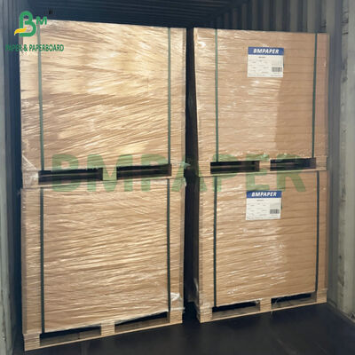 Lembaran Karton Putih yang Dapat Disegel Panas untuk Kemasan Blister, Adhesi Kuat dengan PVC/PET, Tahan Lembab, Kertas Kaku 250g 300g untuk Tampilan Ritel