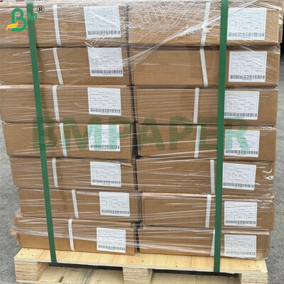 Kertas Plotter CAD Format Lebar A0 80gsm | 914mm × 50m, 5 Gulung Per Karton