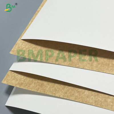 100% Pulp Kayu Perawan 280gsm 300gsm Papan Kertas Kraft Berlapis Putih Untuk Wadah Makanan
