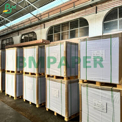GC4 Dilapisi Kraft Back Paperboard Food Grade Untuk Cake Board 250g 300g