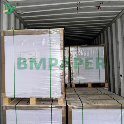 WTKB Papan Makanan Papan Kraft Lapisan Putih Sisi Satu Untuk Kemasan Makanan Langsung