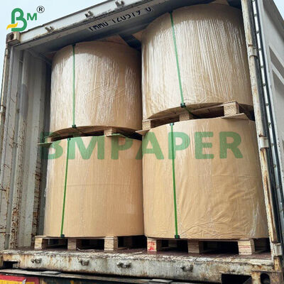 WTKB Papan Makanan Papan Kraft Lapisan Putih Sisi Satu Untuk Kemasan Makanan Langsung