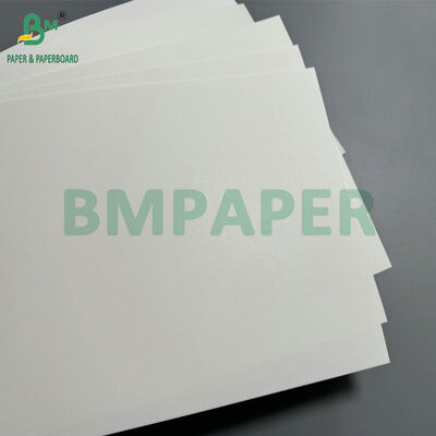 Kertas Coaster Penyerap 0,6mm 0,9mm Cepat Kering dengan Daya Serap Tinggi untuk Pembuatan Papan Coaster