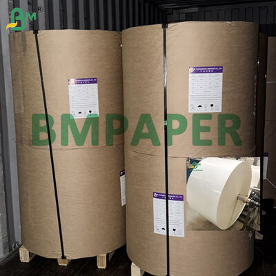 865mm 940mm Makanan Berkualitas Putih Cupstock Paper Rolls 150-320gsm + PE Coating