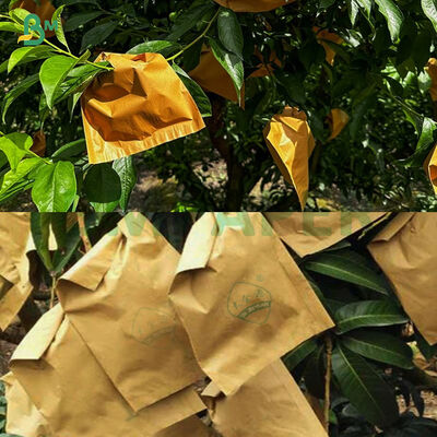 Yellow Outer Smooth Black Inner Matte Mango Fruit Bag Paper Waterproof