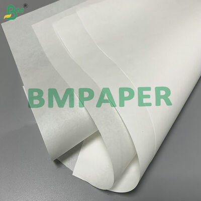 Disposable & Greaseproof Heat-Resistant 35 - 40gsm Baking Paper for Oven Air Fryer