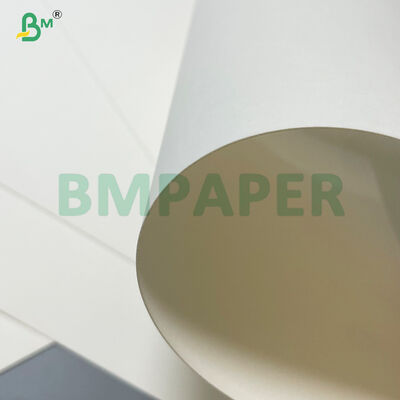 Tulang yang sangat tahan minyak 20gsm 24gsm PE Lapisan Sup Panas Noodle Soup Paper