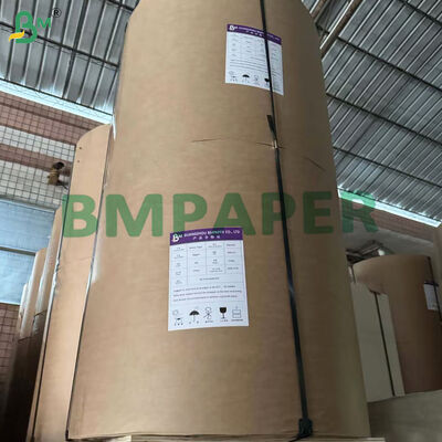 300gm + 15g PE dilapisi Brown Kraft Paper Untuk Tray Makanan Jalan Oil proof 85cm