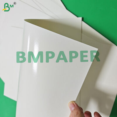 Makanan Aman 170 - 320gsm + 15g PE Cupstock Paper Untuk Minuman Panas Kebocoran Proof 870mm