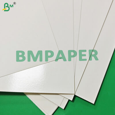 Makanan Aman 170 - 320gsm + 15g PE Cupstock Paper Untuk Minuman Panas Kebocoran Proof 870mm
