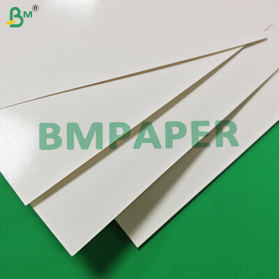 Makanan Aman 170 - 320gsm + 15g PE Cupstock Paper Untuk Minuman Panas Kebocoran Proof 870mm