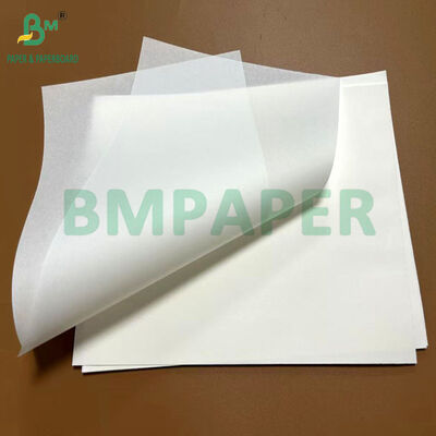 30gsm 40gsm Grease Resistant Slip Easy Paper Untuk Membuat Baking Cup 27.25 X 28 inch