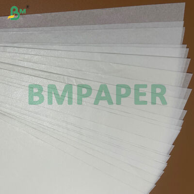 35gsm 38gsm Non Stick Silicone Coated Parchment Paper for Oven Mess Free Baking