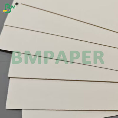 Lembaran Kertas Kotak Makanan Tahan Panas PET Coating 175gsm+10gsm