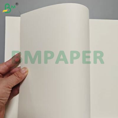 Lembaran Kertas Kotak Makanan Tahan Panas PET Coating 175gsm+10gsm