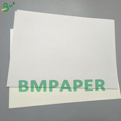 250gsm Fully Coated GC2 White Folding Box Board Manila Back Untuk Produk Roti