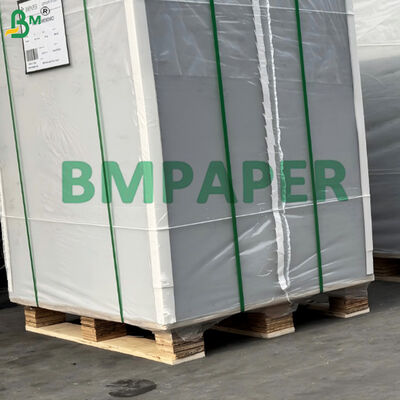 250gsm Fully Coated GC2 White Folding Box Board Manila Back Untuk Produk Roti