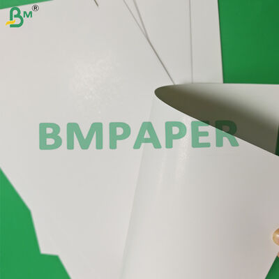 275gm 325gm GC2 Paling Box Board Untuk Bakery Packaging 760 x 1020mm OBA Free
