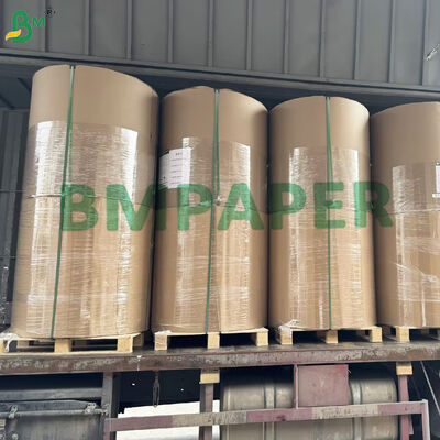 50gsm White Coffee Filter Paper Roll for Coffee Basket Filters