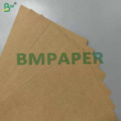 100% bahan baku compostable tahan lemak kelas makanan 200 gm 300 gm gula tebu bagasse dasar kertas untuk perlengkapan meja sekali pakai