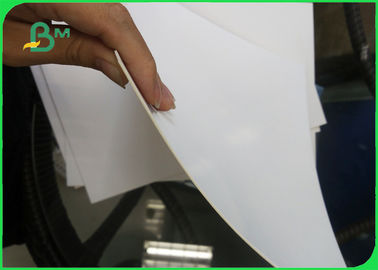 255gsm Tinggi Bulk dilapisi 1 sisi Solid White Board GC1 Ivory Board