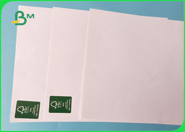 Panjang 50 / 100m 100% Pulp Kayu Lempar Kerutan Plotter Paper Untuk Menggambar