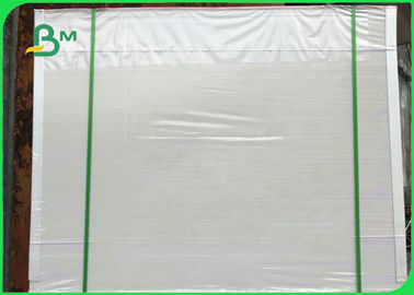 300gm White PE Coated Ivory Board Untuk Membuat Food Box 50 * 70cm