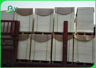 300gm White PE Coated Ivory Board Untuk Membuat Food Box 50 * 70cm