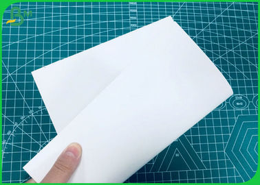 230GSM hingga 400GSM FBB berlapis putih padat dengan kekakuan yang baik
