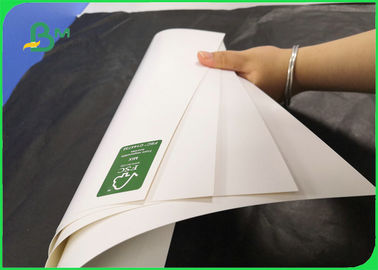 Kardus FBB yang dilapisi untuk kemasan kaus kaki tak terlihat 350GSM 400GSM