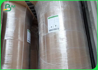 Ekologi Bambu Kraft Paper Roll 50GSM - 250GSM