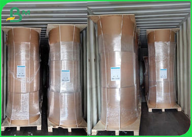 Ekologi Bambu Kraft Paper Roll 50GSM - 250GSM