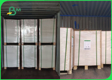 100% Virgin Wood Pulp 210g PE Coating FBB Untuk Kotak Makan Siang Tahan Panas