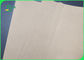 FSC Disetujui 787mm 889mm Kraft Paper Roll Untuk Kemasan Moistureproof