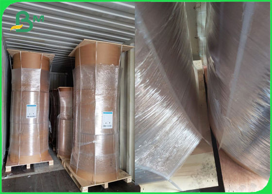 Roll Brown Kraft Paper PE Lapisan Sisi Tunggal 80gsm