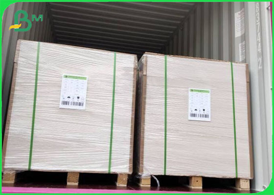 Virgin Pulp Coated FBB Ivory Board 305g / 345g Percetakan Offset