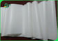 Food Grade 35 / 38gsm White Greaseproof Wapping Paper, Cetak Jumbo Roll
