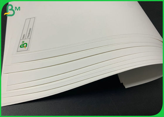 Tear - Proof PP Synthetic Paper Untuk Label Tahan Air 100μM 130μM