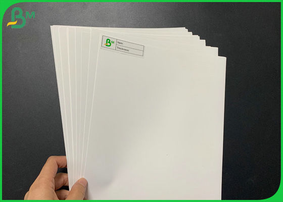 Tear - Proof PP Synthetic Paper Untuk Label Tahan Air 100μM 130μM